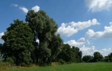 Riethbenden